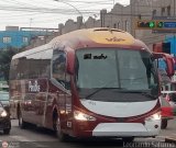 Empresa de Transporte Per Bus S.A. 437, por Leonardo Saturno