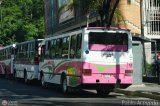 Particular 02, por Pablo Acevedo