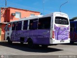 En Chiveras Abandonados Recuperacin 46