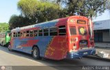 Expresos Gige 19 Blue Bird Convencional No Integral International S-Series Schoolmaster