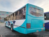 Organizacin Guaicamacuto 330