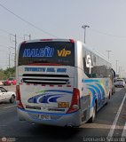 E.T. Maleo VIP (Per) 954A