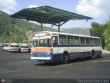 DC - Autobuses de Antimano 041, por Edgardo Gonzlez
