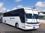 Unin Conductores Ayacucho 2074