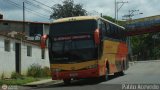 Expresos Juregui 080