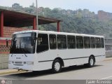 A.C. de Transporte Encarnacin 981