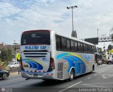 E.T. Maleo VIP (Per) 968