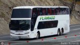 Expresos Flamingo 0090