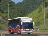 Particular o Transporte de Personal 262