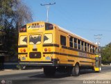 CA - TransDrcula 026 Thomas Built Buses Conventional International 3600