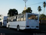 Ruta Metropolitana de Ciudad Guayana-BO 779, por Aly Baranauskas