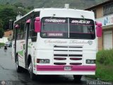 A.C. Transporte San Alejo 20 Fanabus Metro 3500 Iveco Eurorider C35
