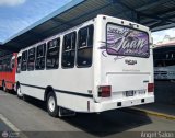 Coop. Transporte Menca de Leoni 084, por ngel Saln