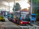 Trolmerida - Tromerca 09, por Andrs Figuera