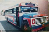 Transporte Panamericano 08 por Colaboraci�n Externa 
