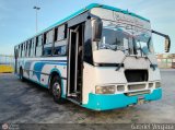 Organizacin Guaicamacuto 330