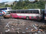 En Chiveras Abandonados Recuperacin 