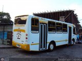 A.C. Transporte Paez 019