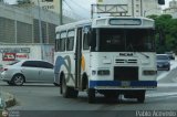 Ruta Metropolitana del Litoral Varguense 302