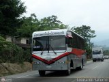 S.C. Lnea Transporte Expresos Del Chama 154 Carrocera Alkon New City Hino FC4J