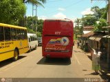 Copa Amrica 077