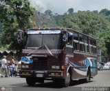 A.C. Transporte San Alejo 36