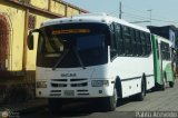 A.C. Transporte Paez 076, por Pablo Acevedo