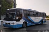Ejecutivos Boga 28