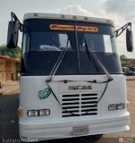 A.C. Transporte Paez 087