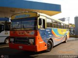 Lnea Sanare 06 Encava E-1000-49 Encava Cummins Grande