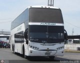 Expresos Flamingo 0013 por Andr�s Ascanio