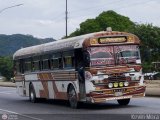 Lnea Ro Claro 20