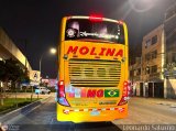 Transportes Molina Per� S.A.C. 951 por Leonardo Saturno