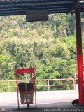 Garajes Paradas y Terminales Los-Teques Artesanal o Desconocido Sin Nombre Desconocido NPI