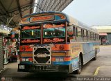 Colectivos Perij 45