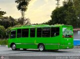 Colectivo Los Andes 596 por Leonardo Saturno