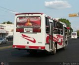 Expresos Maranatha C.A. 93