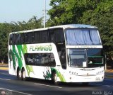 Expresos Flamingo 0171