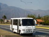 Particular o Transporte de Personal 94