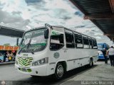 Lnea Tocar S.C. 37 por Maikelvis Monroy