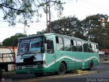 Transporte Bonanza 021