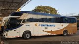Unitransco S.A. 9746, por Joseph Puello