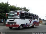 Colectivos El Viga 82