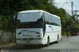 Expresos Sol y Mar 419 Man Lions Star Man 16.290