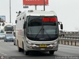 Transporte Tur�stico Rey Bus (Per�) 393