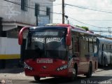 Transporte Chirgua 0011, por Aly Baranauskas