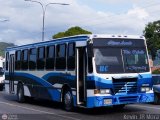Lnea Arvelo 12, por Kevin JR Mora