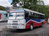 Expresos Pegamar 0007 por Alvin Rond�n
