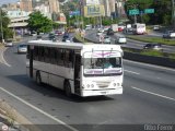 DC - M.S. El Amanecer de la Rinconada 2019 13 Fanabus KingWay Mercedes-Benz OF-1318
