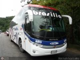 Expreso Brasilia 6519